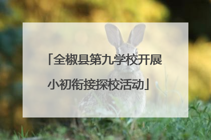 全椒县第九学校开展小初衔接探校活动