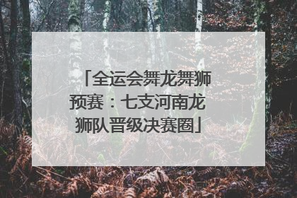 全运会舞龙舞狮预赛：七支河南龙狮队晋级决赛圈
