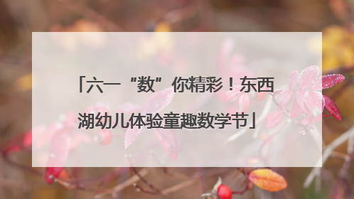 六一“数”你精彩！东西湖幼儿体验童趣数学节
