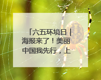六五环境日｜海报来了！美丽中国我先行，上海行！