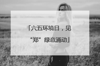 六五环境日，见“郑”绿意涌动
