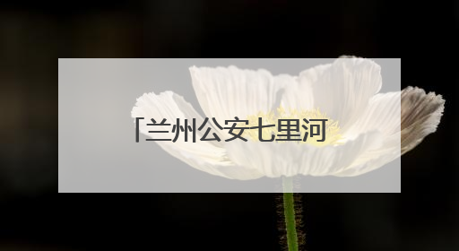 兰州公安七里河分局华坪派出所 警随景动在身边 景中有警更安心