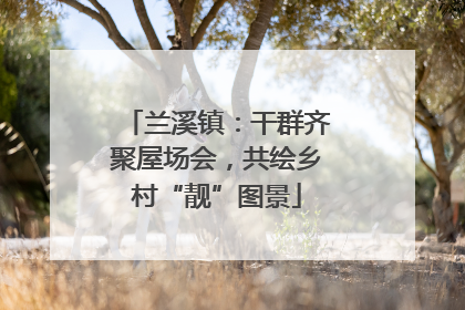 兰溪镇：干群齐聚屋场会，共绘乡村“靓”图景
