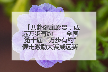 共赴健康愿景，威远万步有约——全国第十届“万步有约”健走激励大赛威远赛区启动仪式
