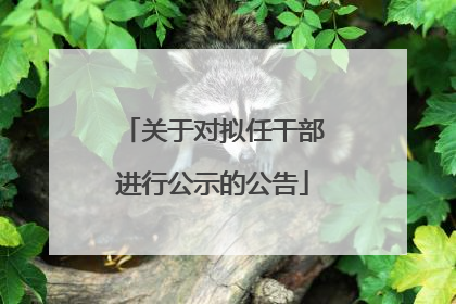 关于对拟任干部进行公示的公告