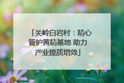 关岭白岩村：精心管护黄精基地 助力产业提质增效