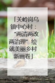 关岭岗乌镇中心村：“两清两改两治理”绘就美丽乡村新画卷