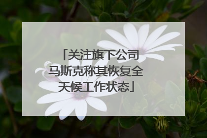 关注旗下公司 马斯克称其恢复全天候工作状态