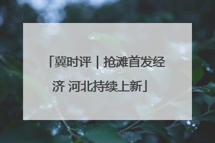 冀时评｜抢滩首发经济 河北持续上新