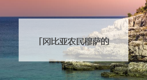 冈比亚农民穆萨的故事，是“中非友好的一段佳话”