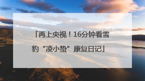 再上央视！16分钟看雪豹“凌小蛰”康复日记
