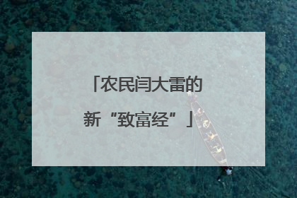 农民闫大雷的新“致富经”