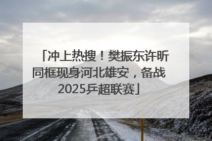 冲上热搜！樊振东许昕同框现身河北雄安，备战2025乒超联赛