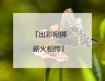 出彩宛梆 薪火相传