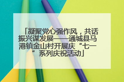 凝聚党心强作风，共话振兴谋发展——通城县马港镇金山村开展庆“七一”系列庆祝活动