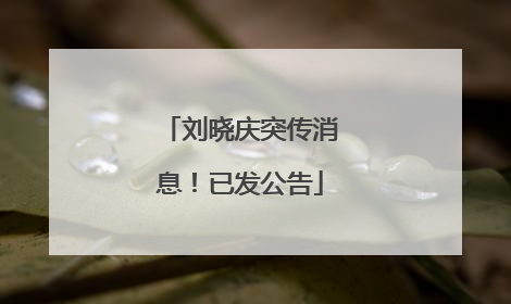 刘晓庆突传消息！已发公告