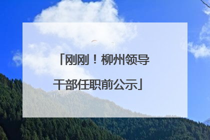 刚刚！柳州领导干部任职前公示