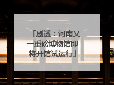 剧透：河南又一重磅博物馆即将开馆试运行