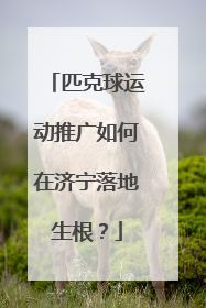 匹克球运动推广如何在济宁落地生根？