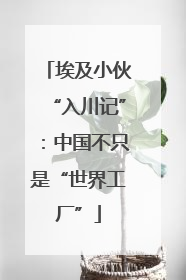埃及小伙“入川记”：中国不只是“世界工厂”