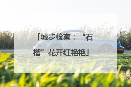 城步检察：“石榴”花开红艳艳