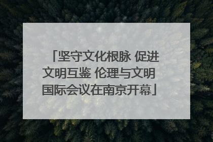 坚守文化根脉 促进文明互鉴 伦理与文明国际会议在南京开幕