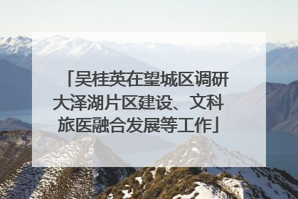 吴桂英在望城区调研大泽湖片区建设、文科旅医融合发展等工作