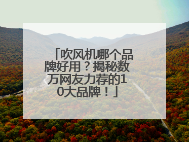 吹风机哪个品牌好用？揭秘数万网友力荐的10大品牌！