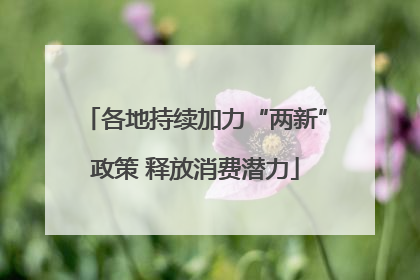 各地持续加力“两新”政策 释放消费潜力