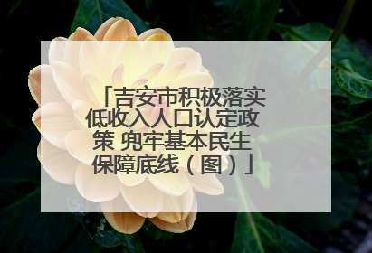 吉安市积极落实低收入人口认定政策 兜牢基本民生保障底线（图）