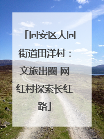 同安区大同街道田洋村：文旅出圈 网红村探索长红路