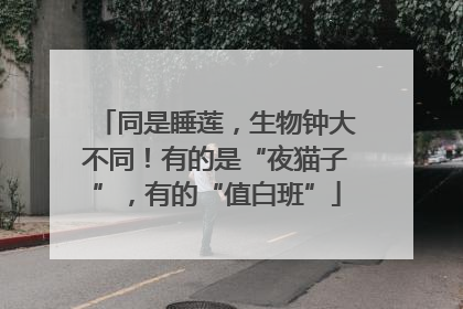 同是睡莲，生物钟大不同！有的是“夜猫子”，有的“值白班”