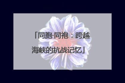 同胞·同袍：跨越海峡的抗战记忆
