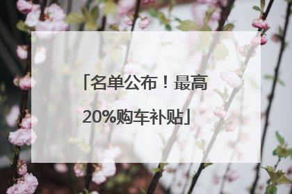 名单公布！最高20%购车补贴