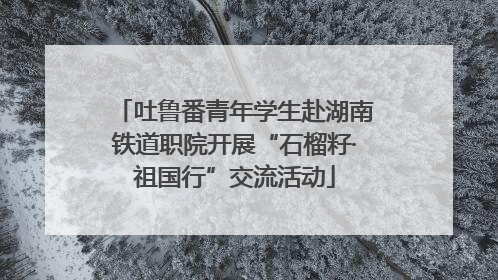 吐鲁番青年学生赴湖南铁道职院开展“石榴籽·祖国行”交流活动