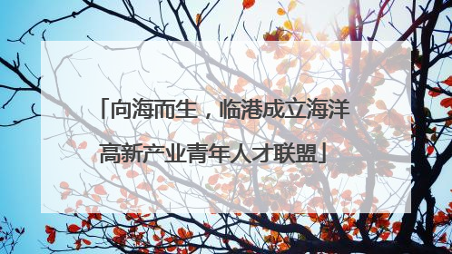 向海而生，临港成立海洋高新产业青年人才联盟