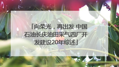 向荣光，再出发 中国石油长庆油田采气四厂开发建设20年综述