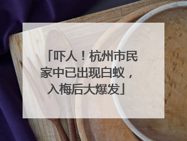 吓人！杭州市民家中已出现白蚁，入梅后大爆发