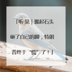 听·见｜搬起石头砸了自己的脚，特朗普终于“慌”了！