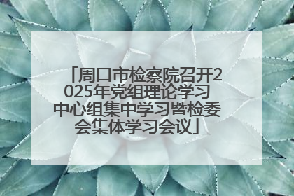 周口市检察院召开2025年党组理论学习中心组集中学习暨检委会集体学习会议