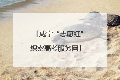咸宁“志愿红”织密高考服务网