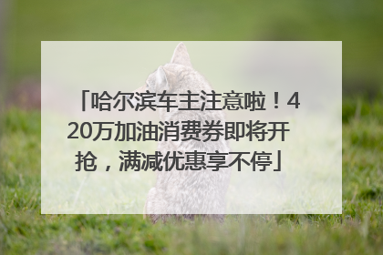 哈尔滨车主注意啦！420万加油消费券即将开抢，满减优惠享不停