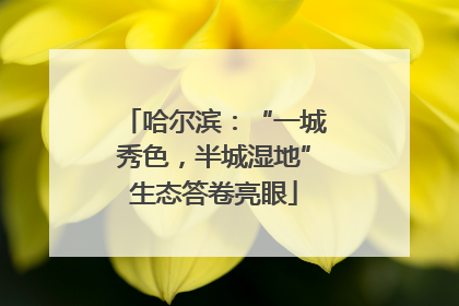 哈尔滨：“一城秀色，半城湿地”生态答卷亮眼