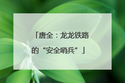 唐全：龙龙铁路的“安全哨兵”