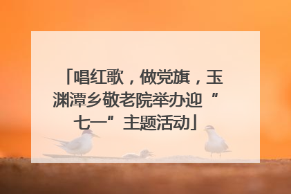唱红歌，做党旗，玉渊潭乡敬老院举办迎“七一”主题活动