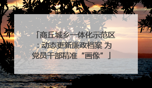 商丘城乡一体化示范区：动态更新廉政档案 为党员干部精准“画像”