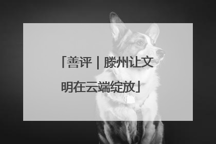 善评｜滕州让文明在云端绽放