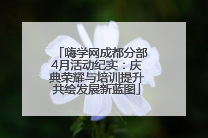 嗨学网成都分部4月活动纪实：庆典荣耀与培训提升共绘发展新蓝图