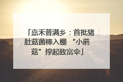 嘉禾普满乡：首批猪肚菇菌棒入棚 “小蘑菇”撑起致富伞