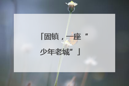 固镇，一座“少年老城”